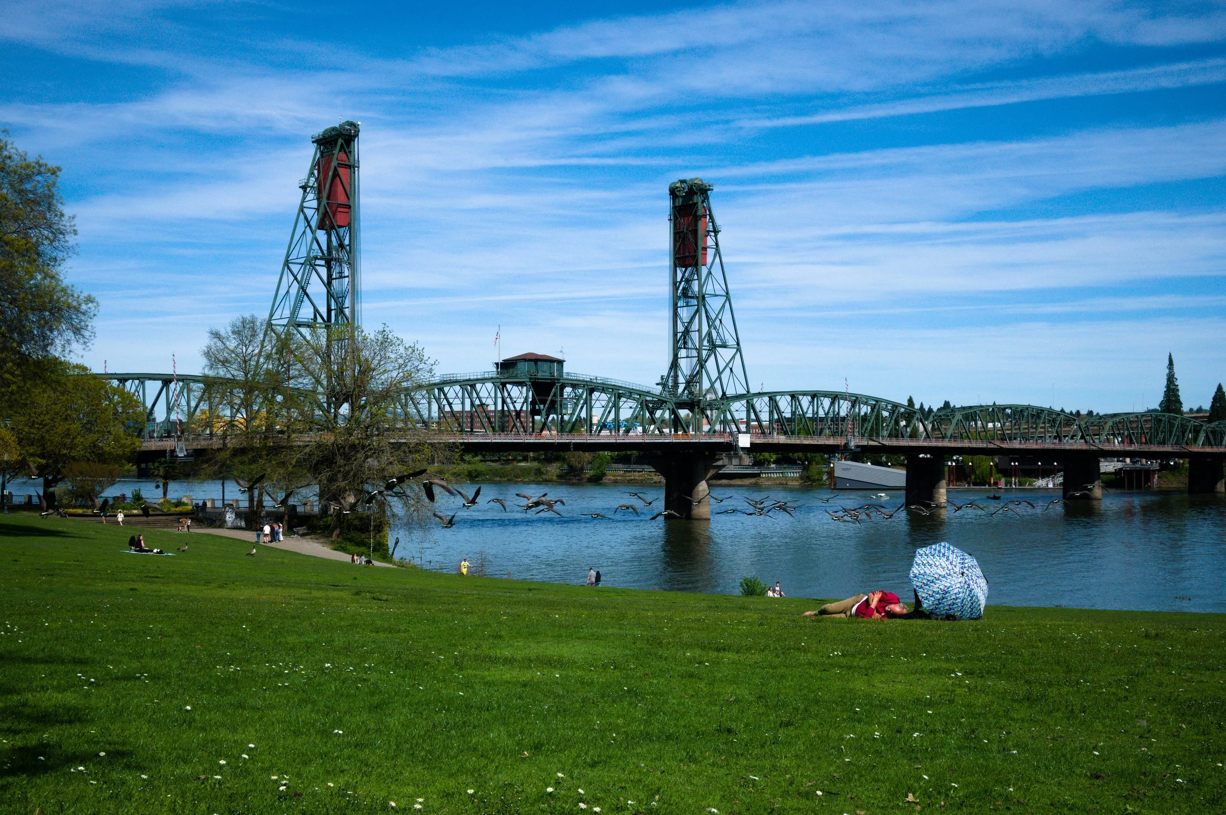 A park scene featuring a grassy area with people relaxing, some under umbrellas, near a river. A bridge with two tall towers spans the river, with a building and trees in the background. Birds fly over the water.