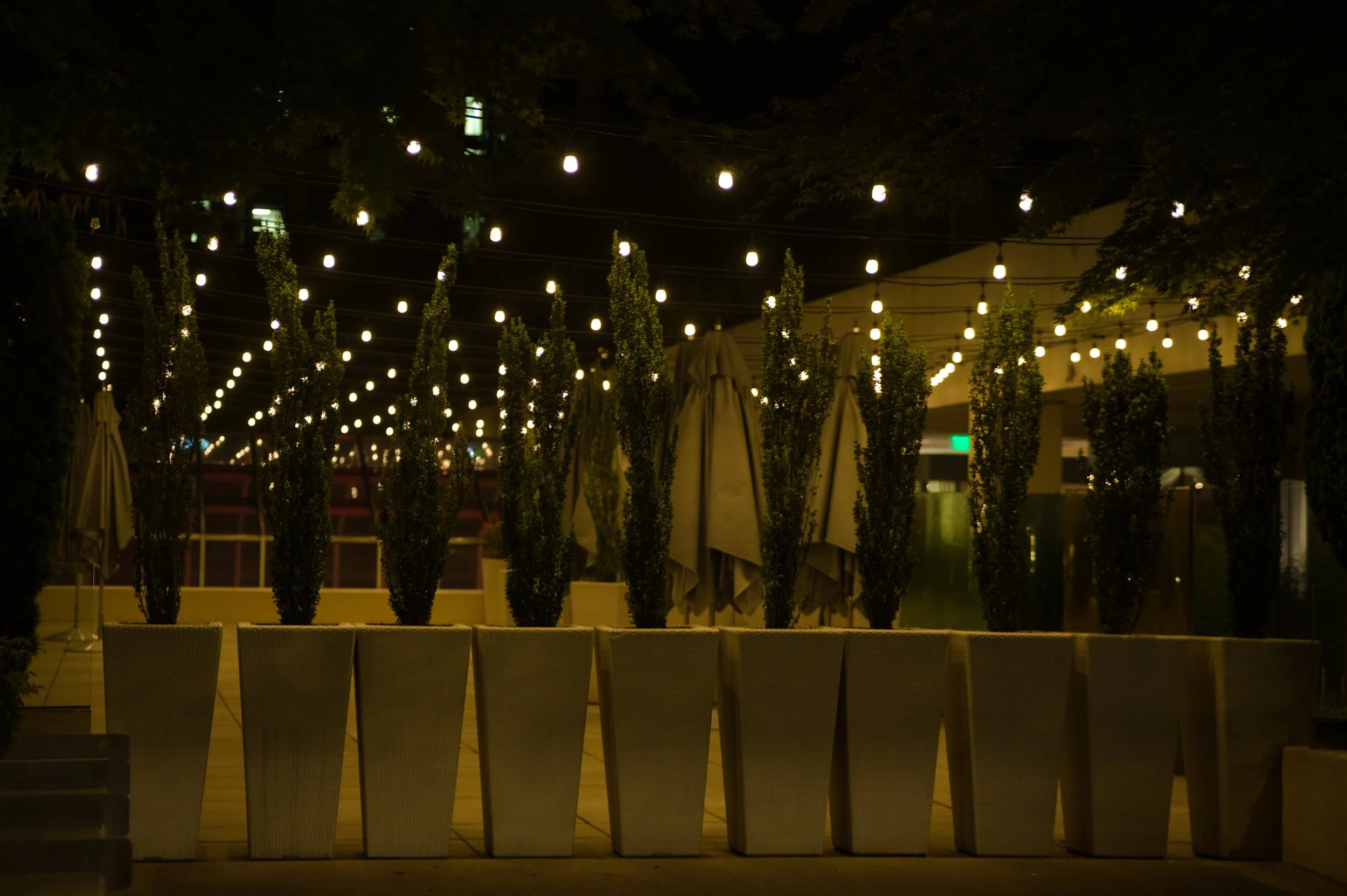 Outdoor dining area with empty chairs, potted plants, and string lights at night.