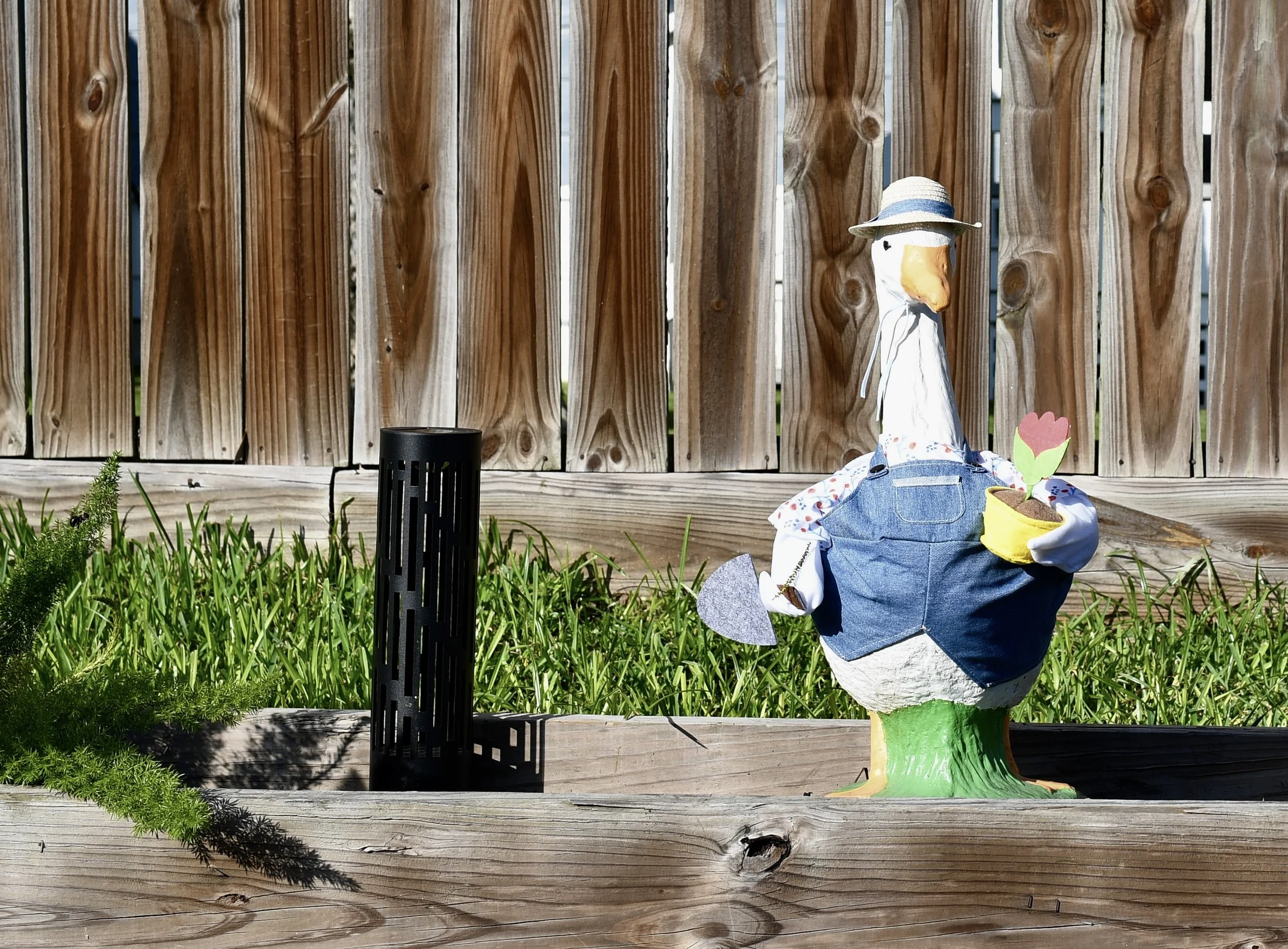 THE GREAT SABINE STREET DUCK INVESTIGATION