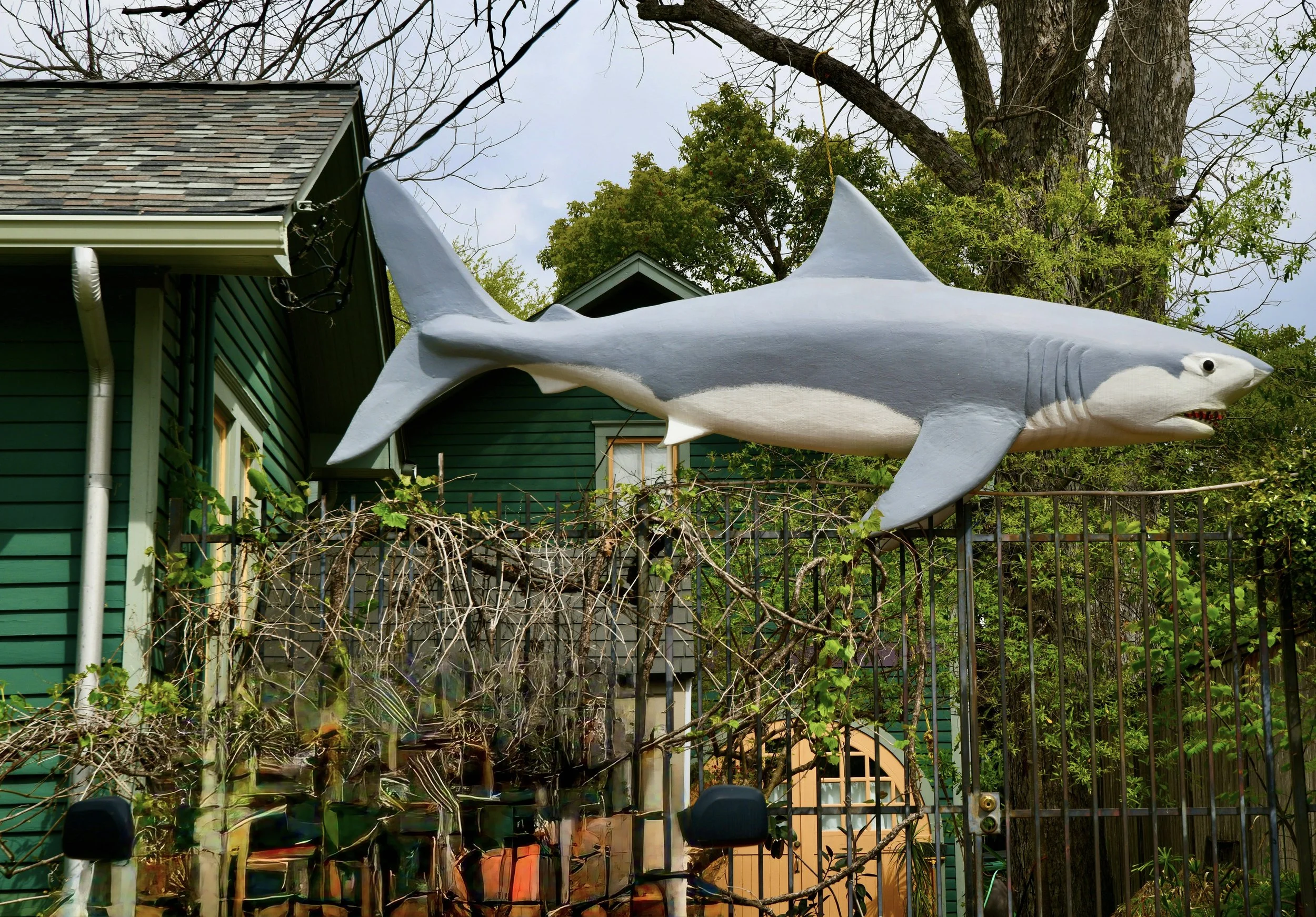 The neighborhood is the art.