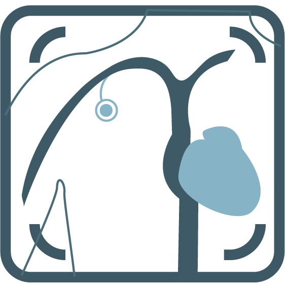 Vascular Access
