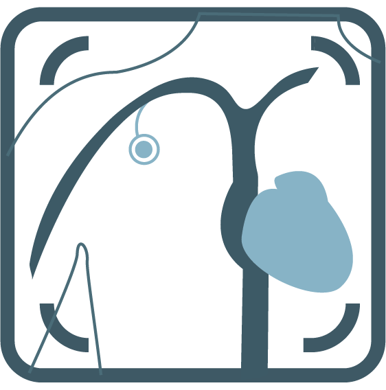Vascular Access