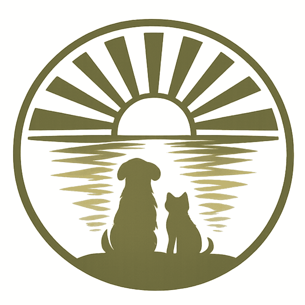 Ray of Light Vet