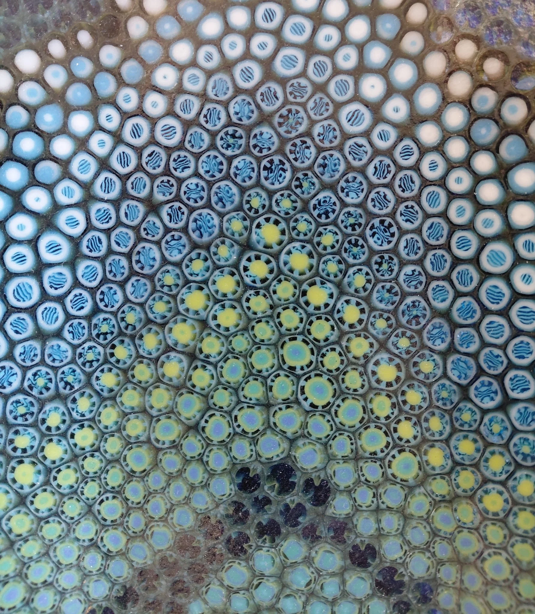Close-up of a honeycomb filled with honey and capped cells, with some cells containing developing bees and others showing emerging bees.