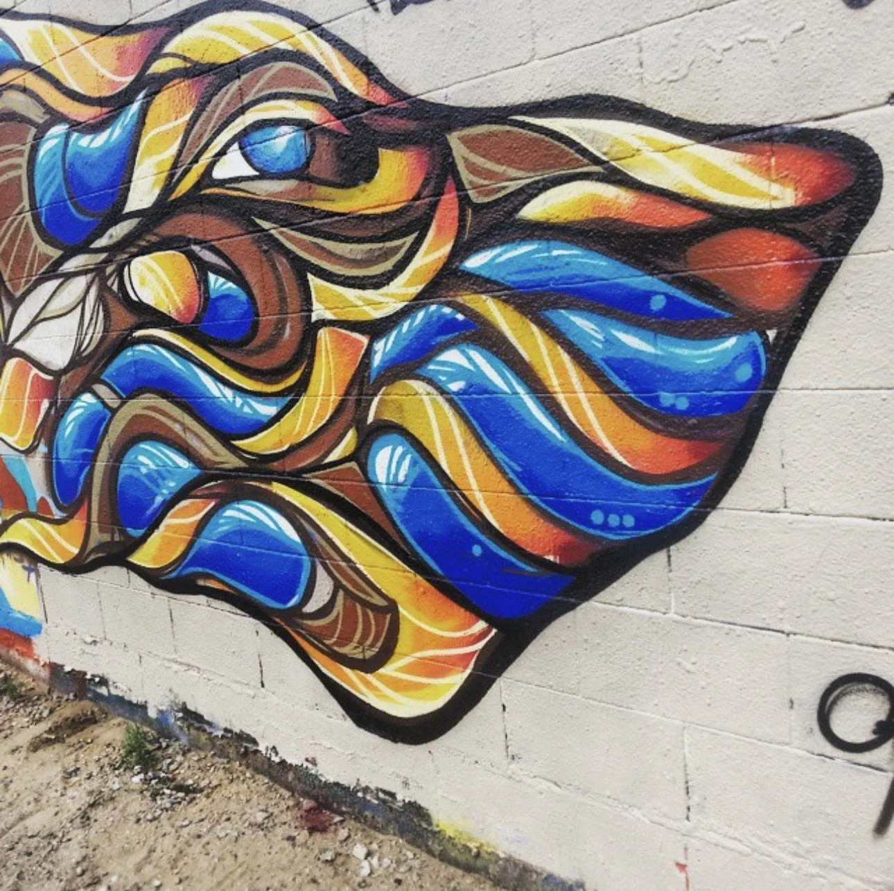 B973A027-DA6F-4619-A90B-E89E8E301CFA_1_201_a.jpeg