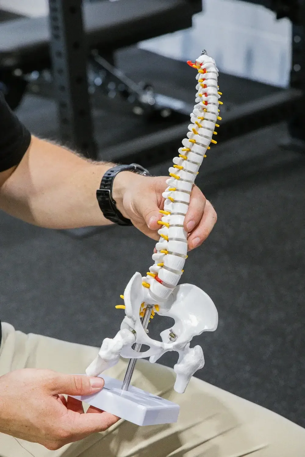 Vertebral Disc Injuries: What They Are, Grades of Injury &amp; How We Can Help