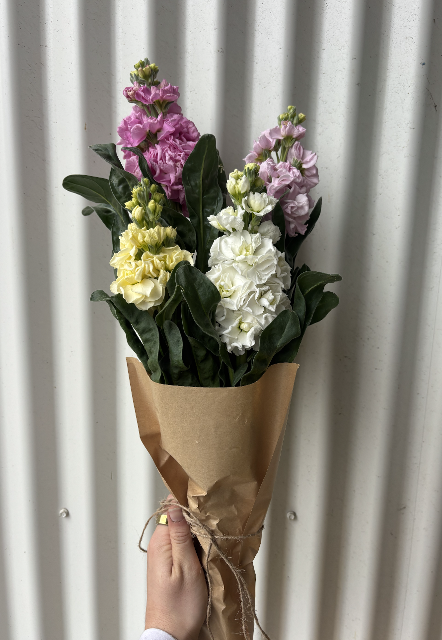 Farm Bunch- Stock