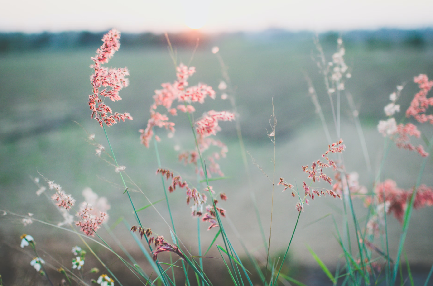 Why Weekly Therapy Is Not Enough During Perimenopause | Michaela Kozlik, Licensed Therapist in Illinois