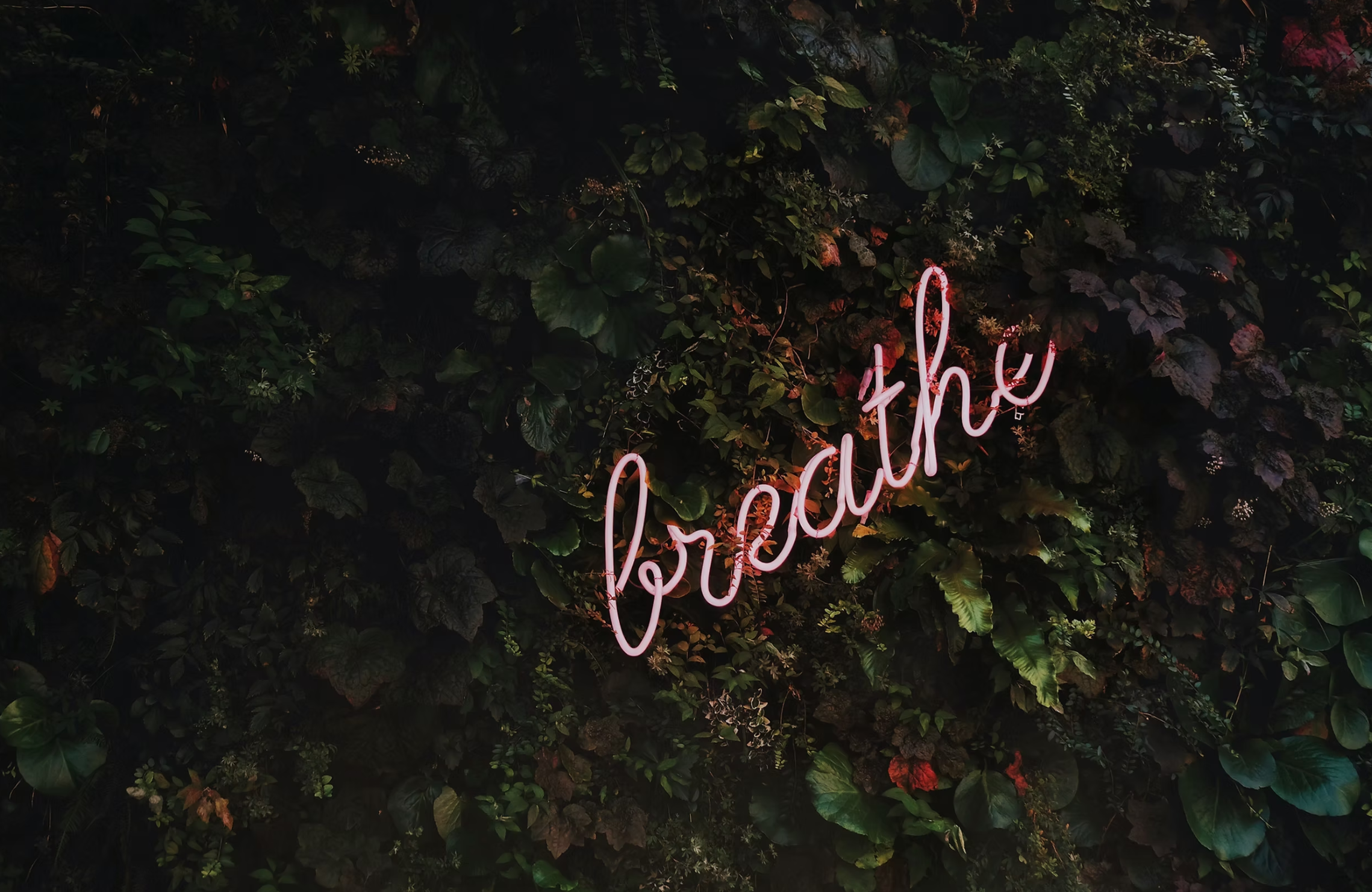 Trauma and Breathwork in Therapy