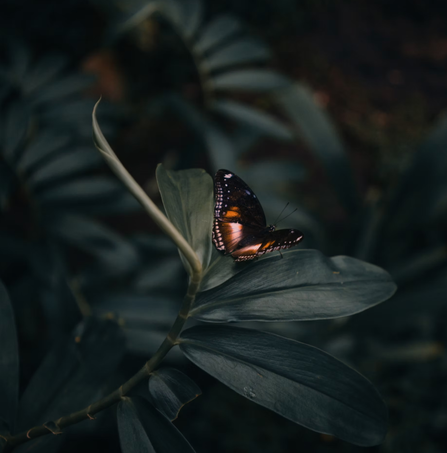 What It Actually Feels Like to Feel Safe and Why It Changes Everything