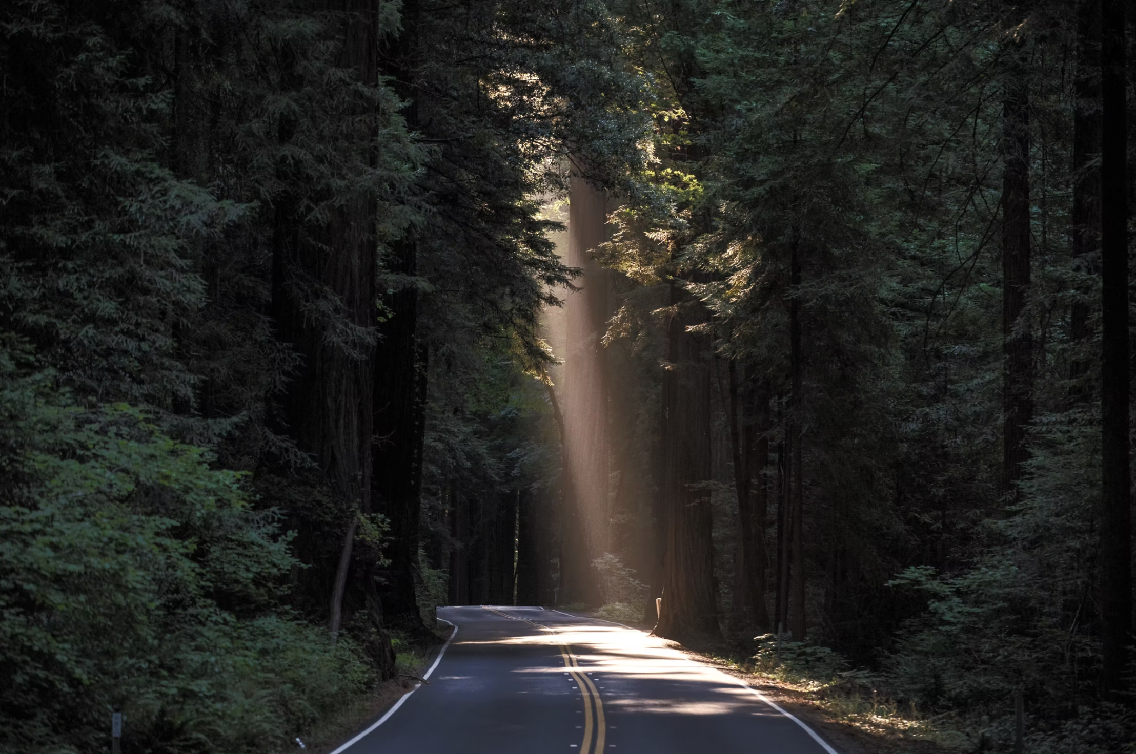 Trauma Isolation and Why You Can't Heal Alone | Illinois Therapist