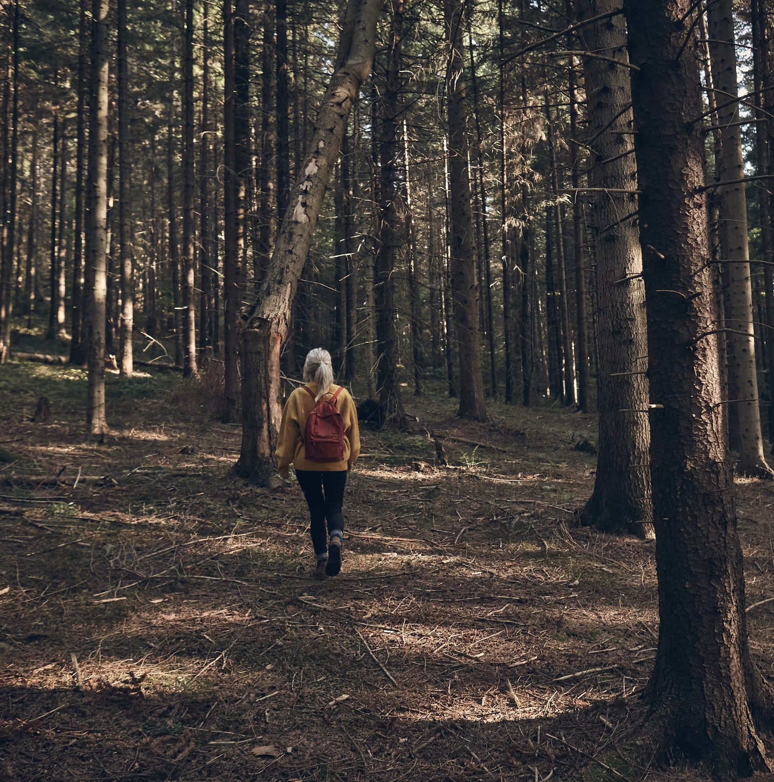 What Is Hakomi Therapy And Why It Works So Well for Midlife Women