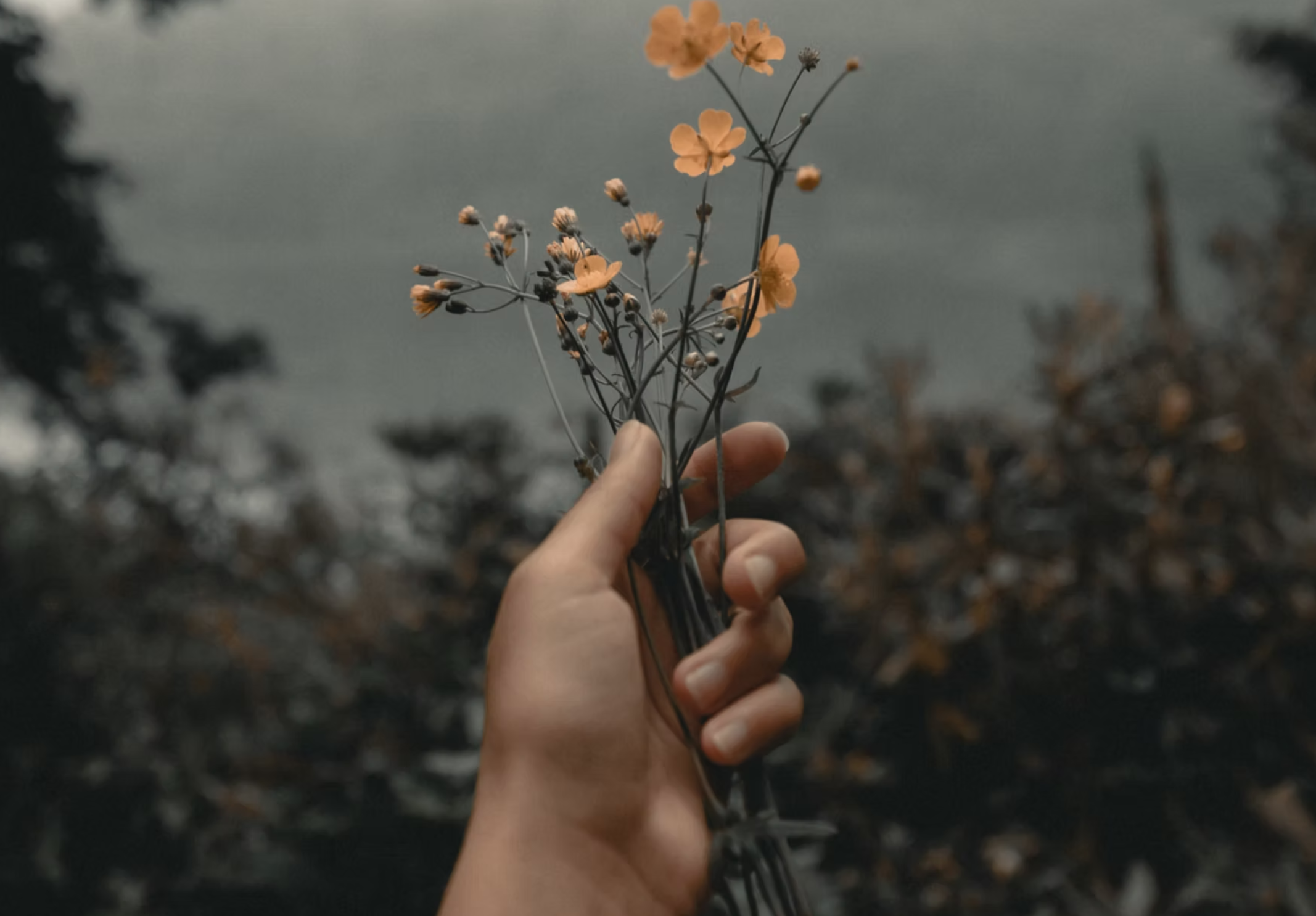 How Therapy Helps Women Heal from Trauma and Anxiety During Perimenopause