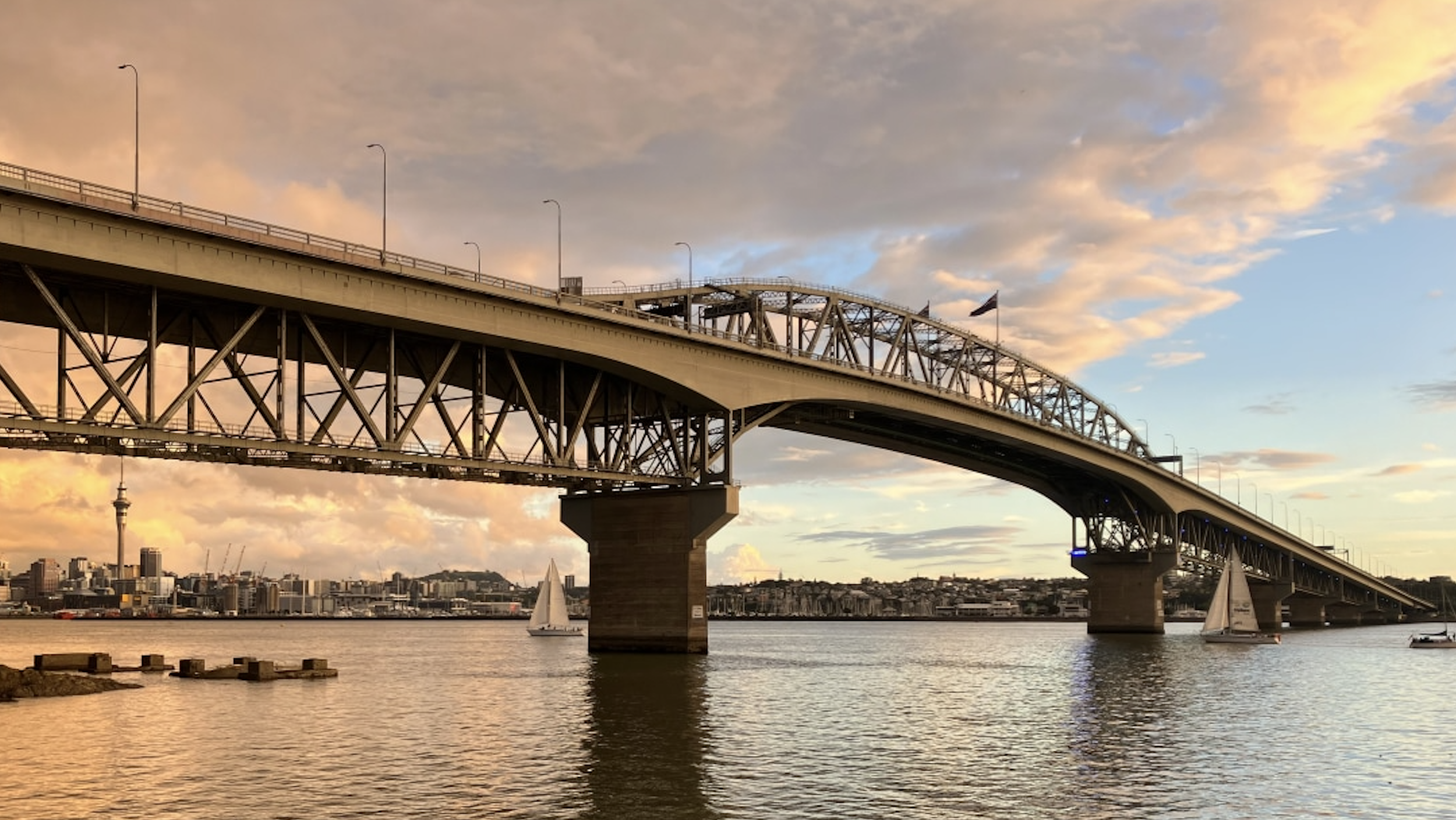 Pacing the Auckland Marathon: How to Master the First Half