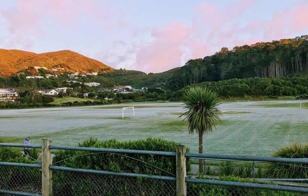 Karori Park: The Glorious, Glitchy Field of Dreams