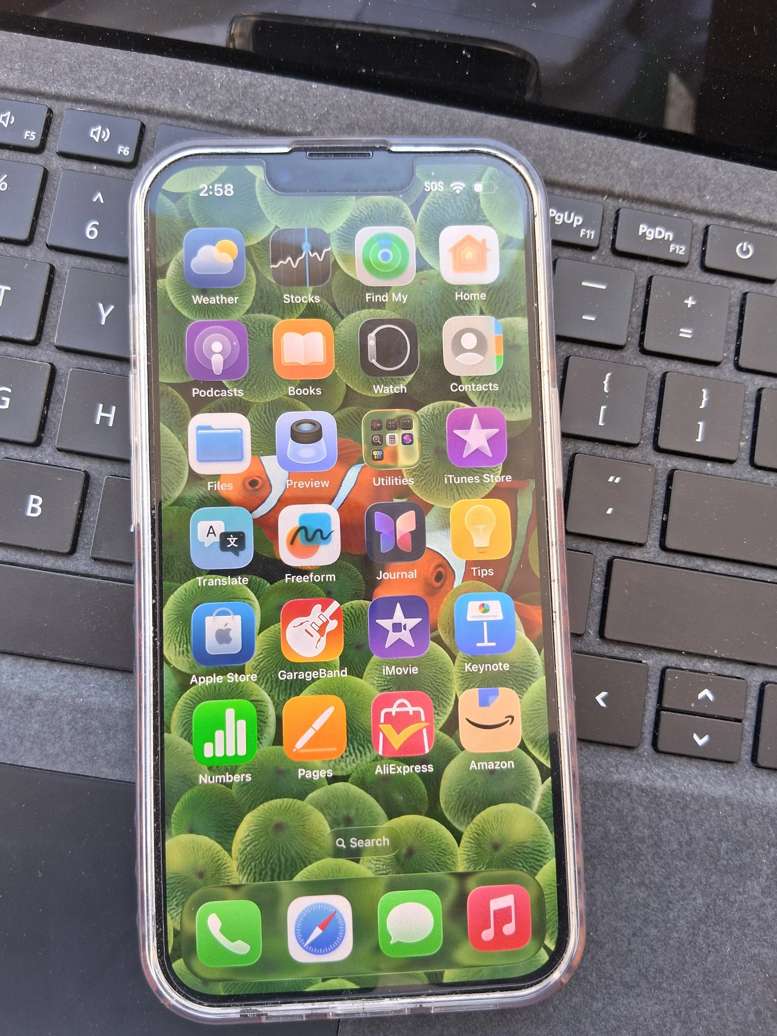 iPhone 13