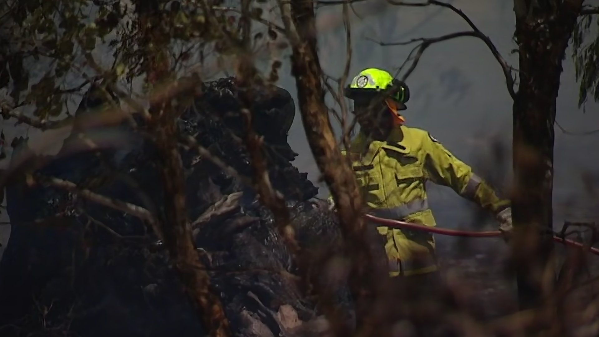 Firefighter in yellow protective gear and helmet fighting a wildfire in a smoky forested area.