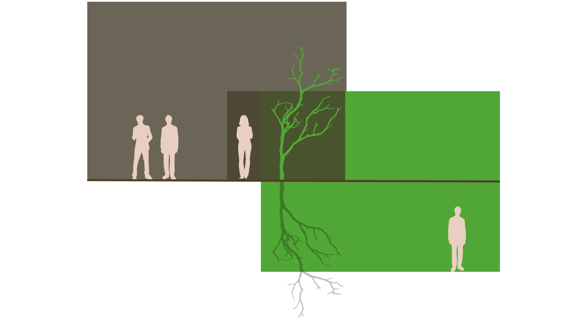 Diagram comparing the growth of trees with different root systems and their data across three panels, showing roots, above-ground structure, and overall growth.