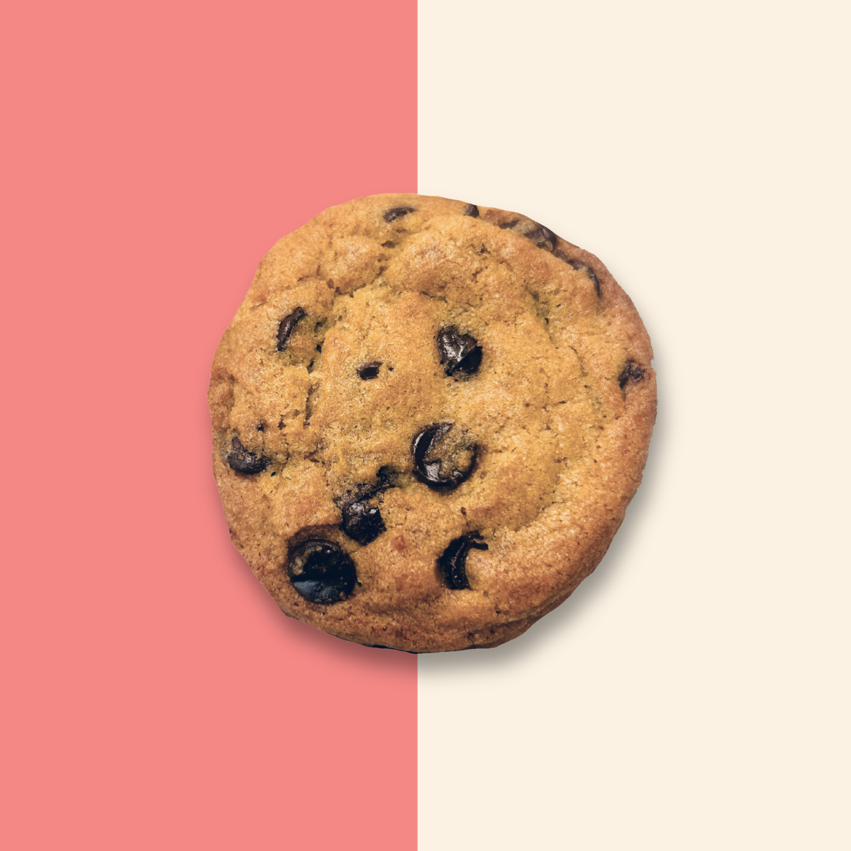 Mookie's signature chocolate chip cookie.