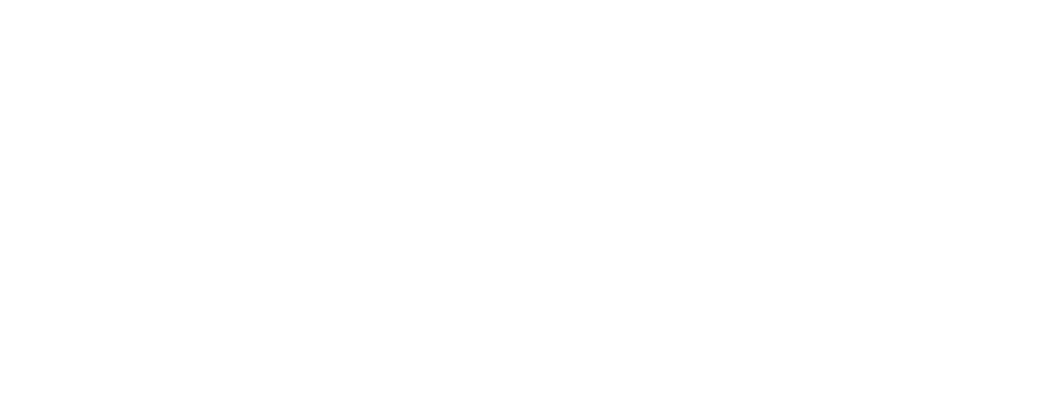 PROTECT ELECTION INTEGRITY