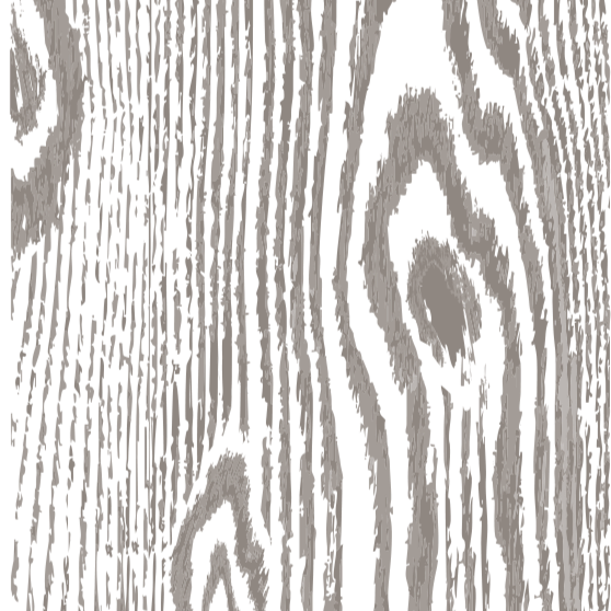 Line drawing of character timber grain