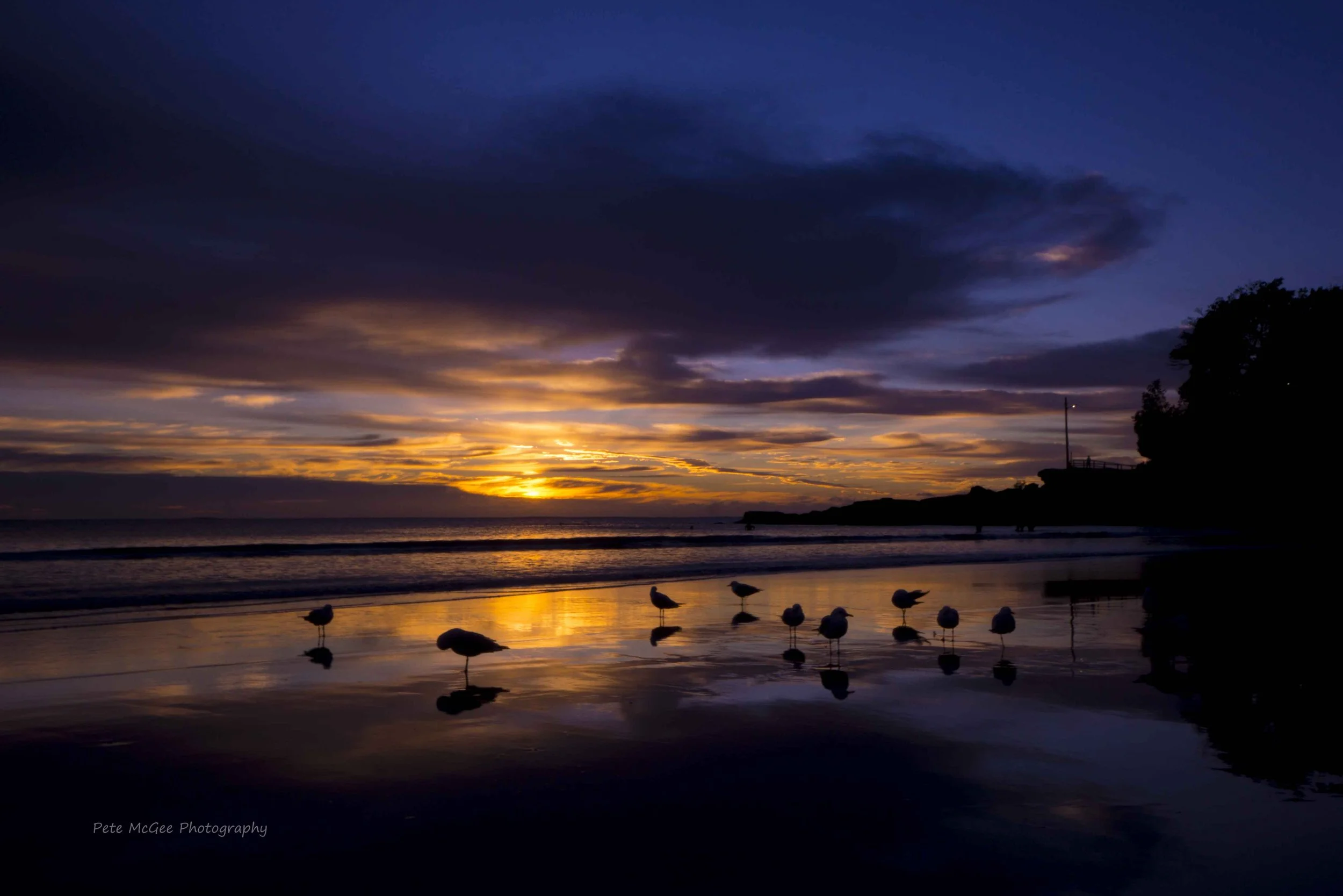 Manly sunrise.JPG