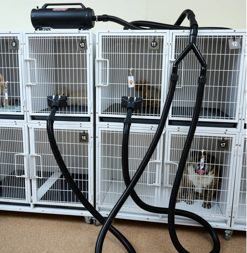 Why We Say NO to Cage Dryers at Our Salon (And Why Your Dog Will Thank Us)