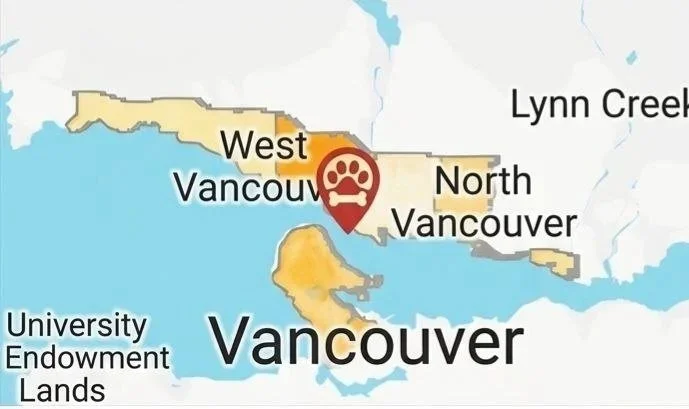 Map of Vancouver and surrounding areas in British Columbia, Canada, with labels for West Vancouver, North Vancouver, Vancouver, University Endowment Lands, and Lynn Creek; a red location marker with a paw print inside indicating a point of interest.