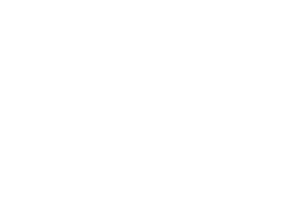 Elemental Flow