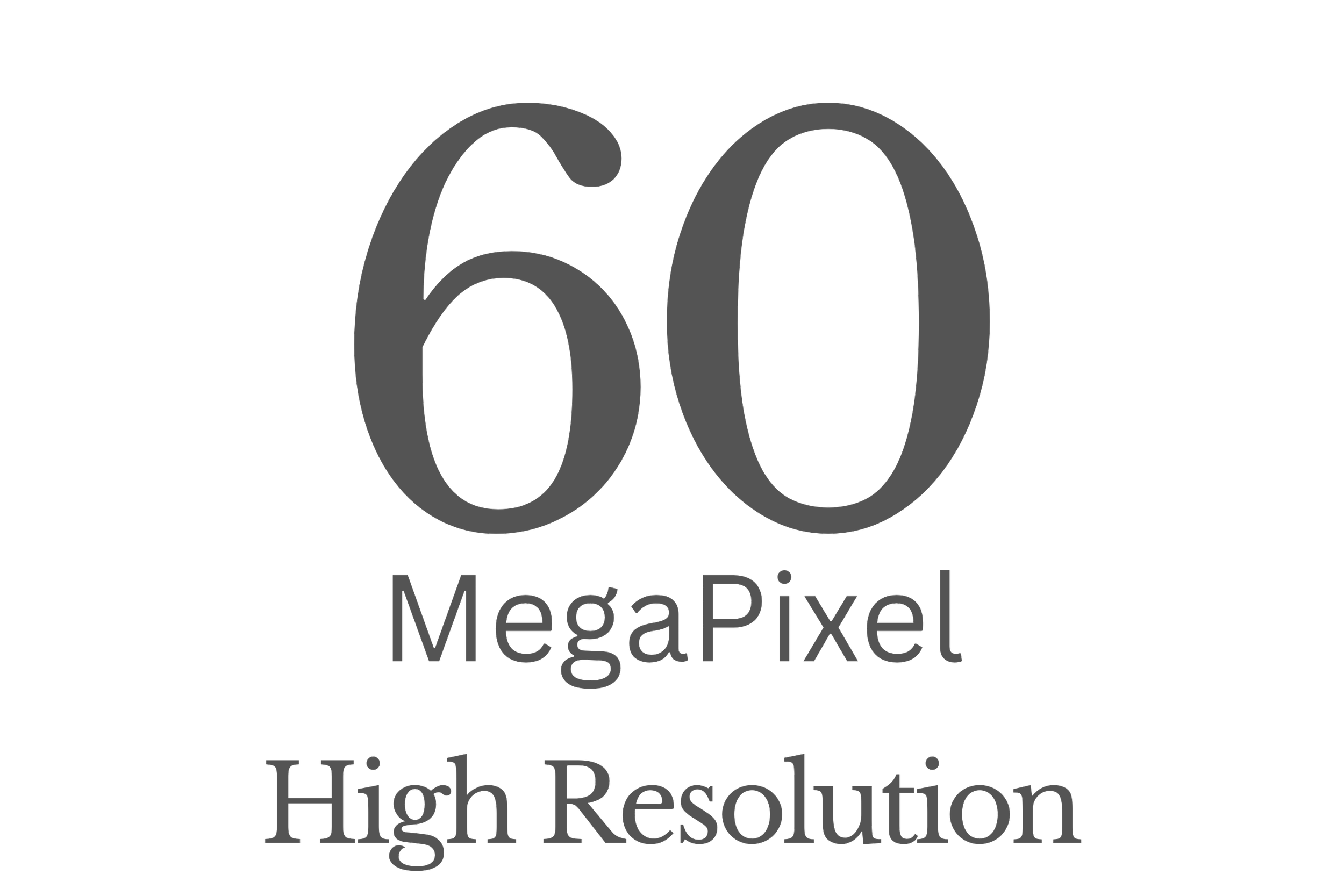Large gray number 60 with the text Megapixel underneath, indicating high resolution image quality.
