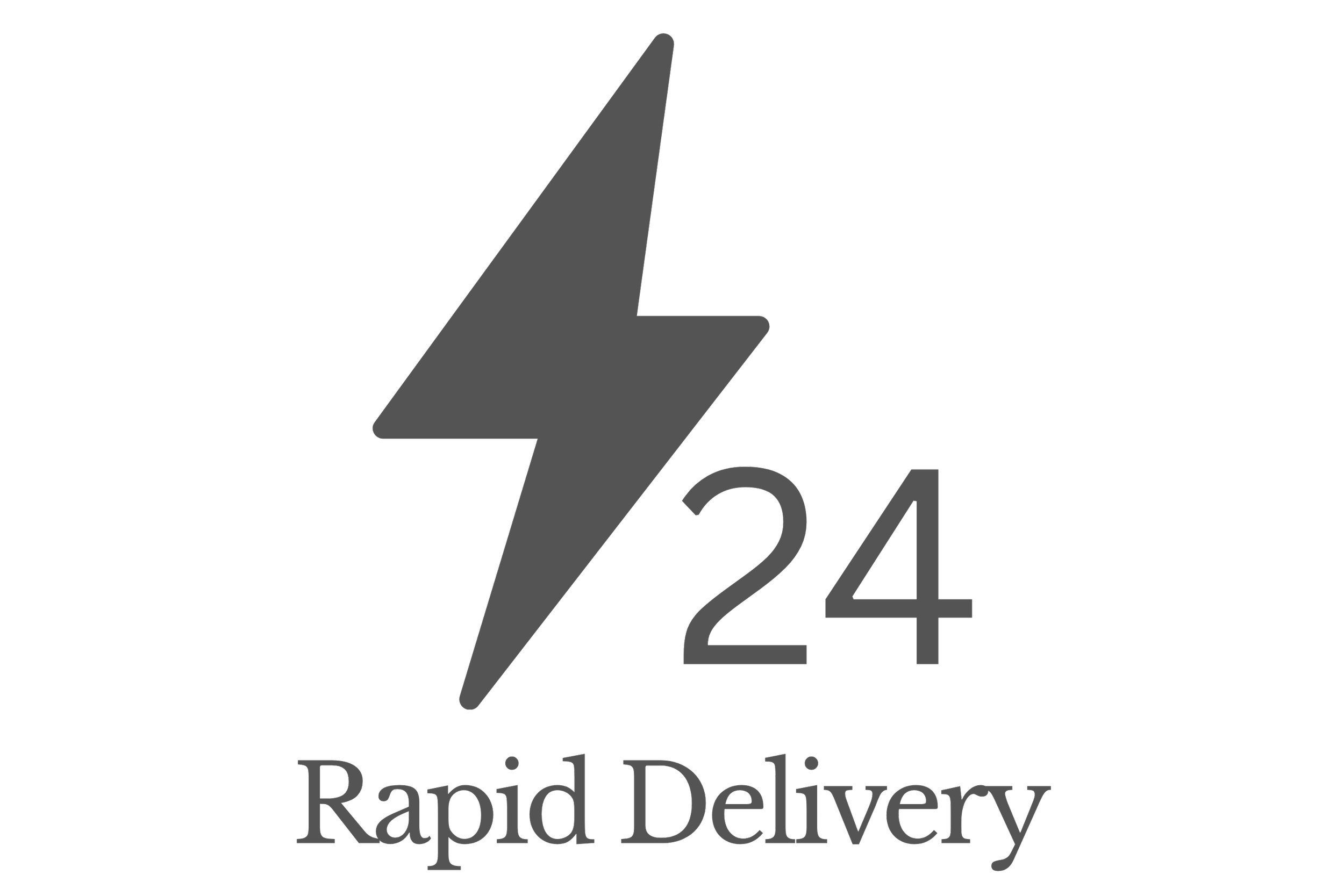 A black background with a gray lightning bolt symbol and the text '24 Rapid Delivery' underneath.