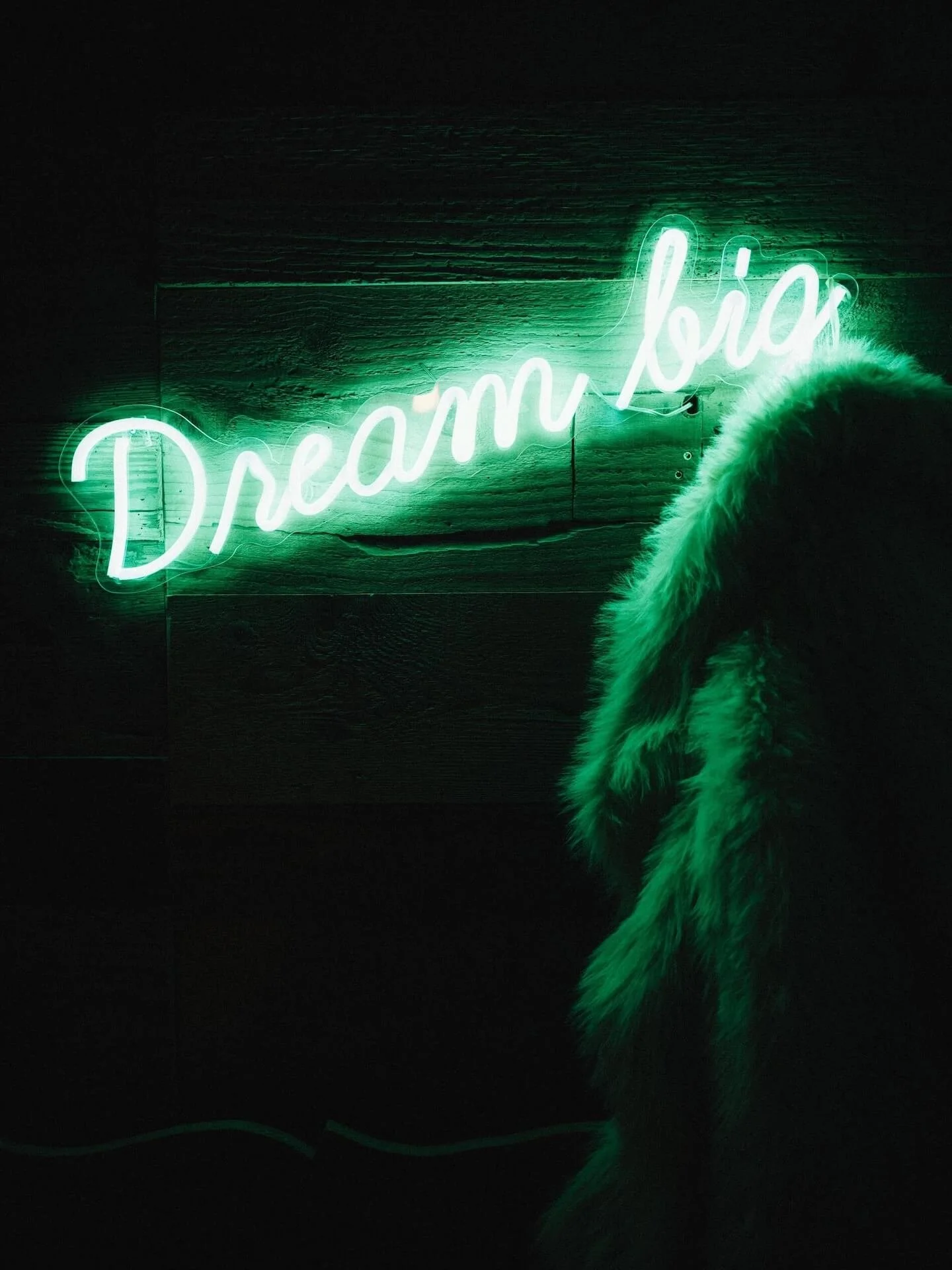 Neon-Grüner Schriftzug 'Dreams' an einer dunklen Holzwand, mit einem pelzigen Objekt im Vordergrund.