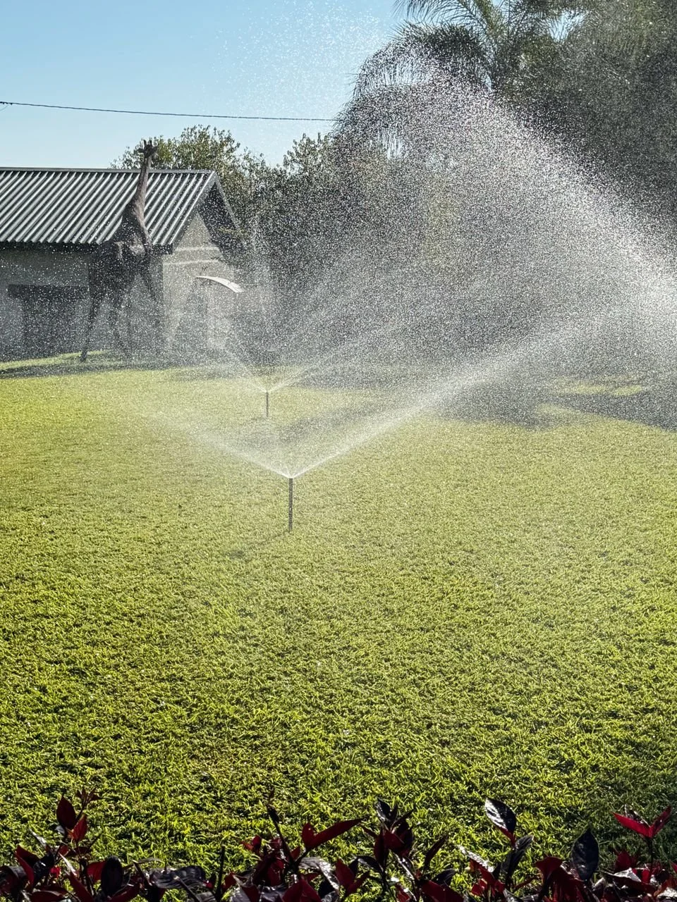 Irrigation