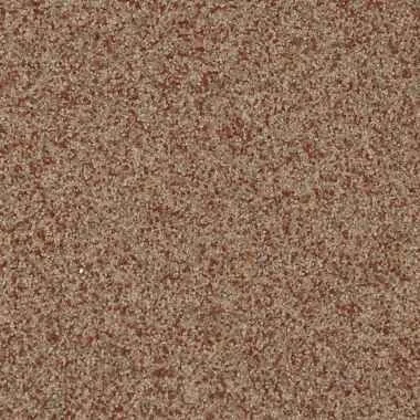 CINNAMON-S.jpg