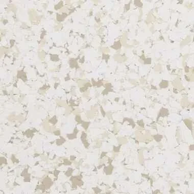 SANDDOLLAR.jpg