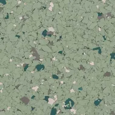 SEDUM.jpg