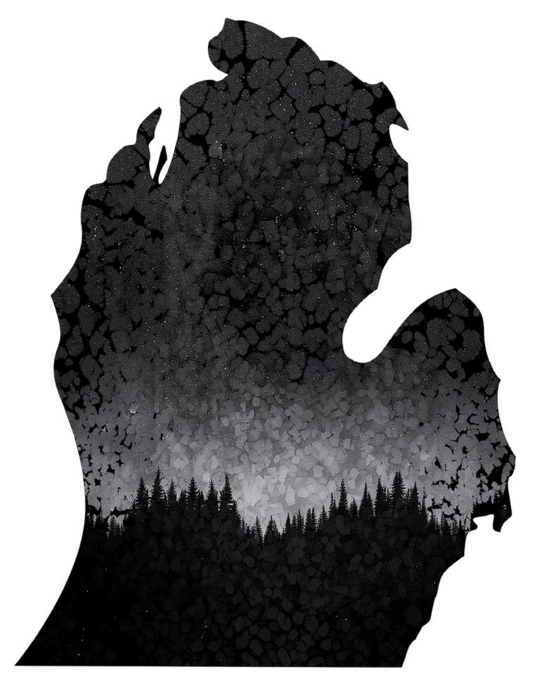 Michigan flake graphic