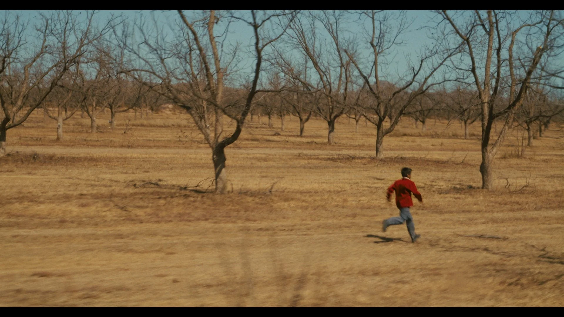 FERMIN CORRE_1.1.10.jpg
