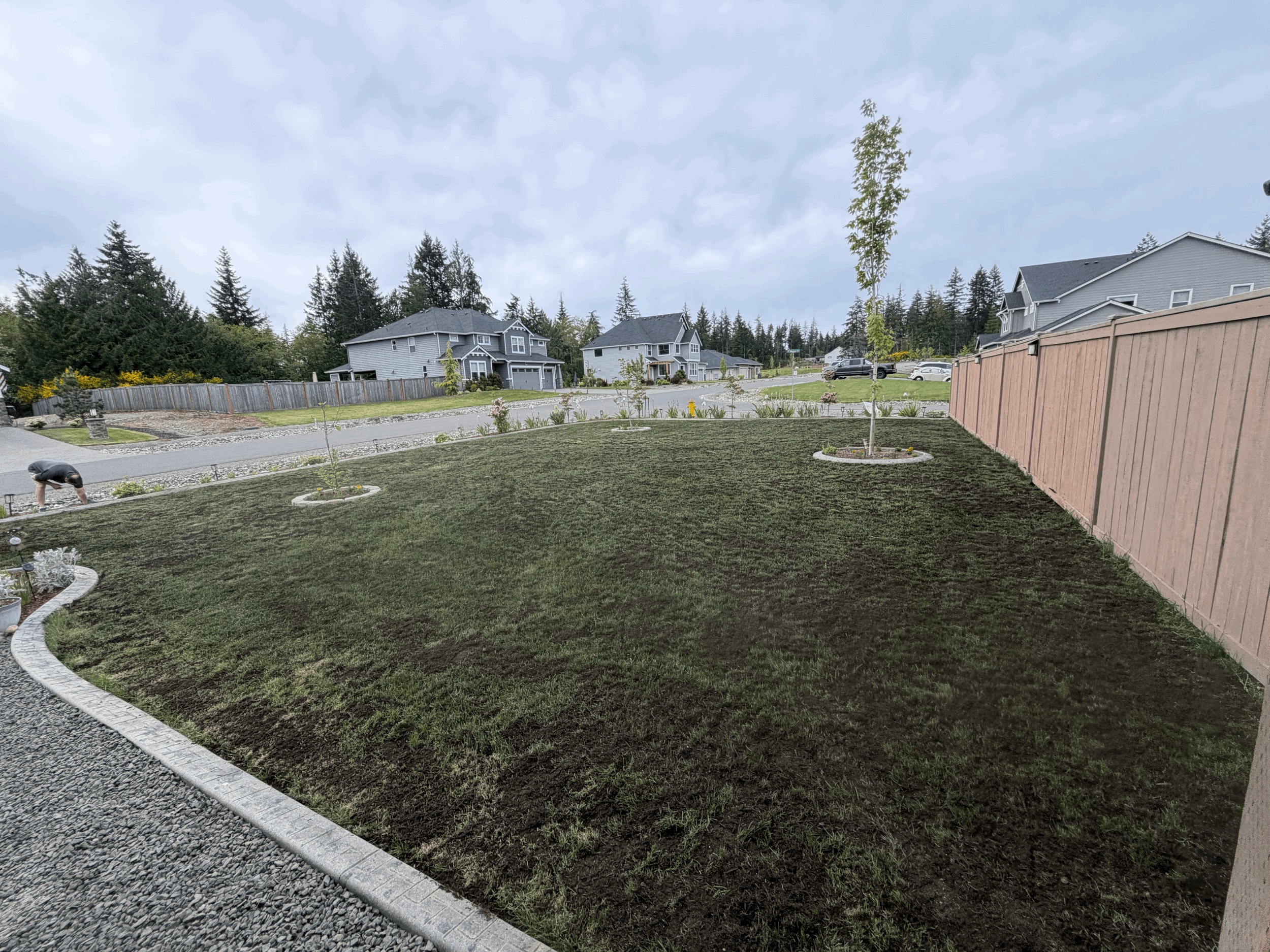 Irrigation/ Thatching