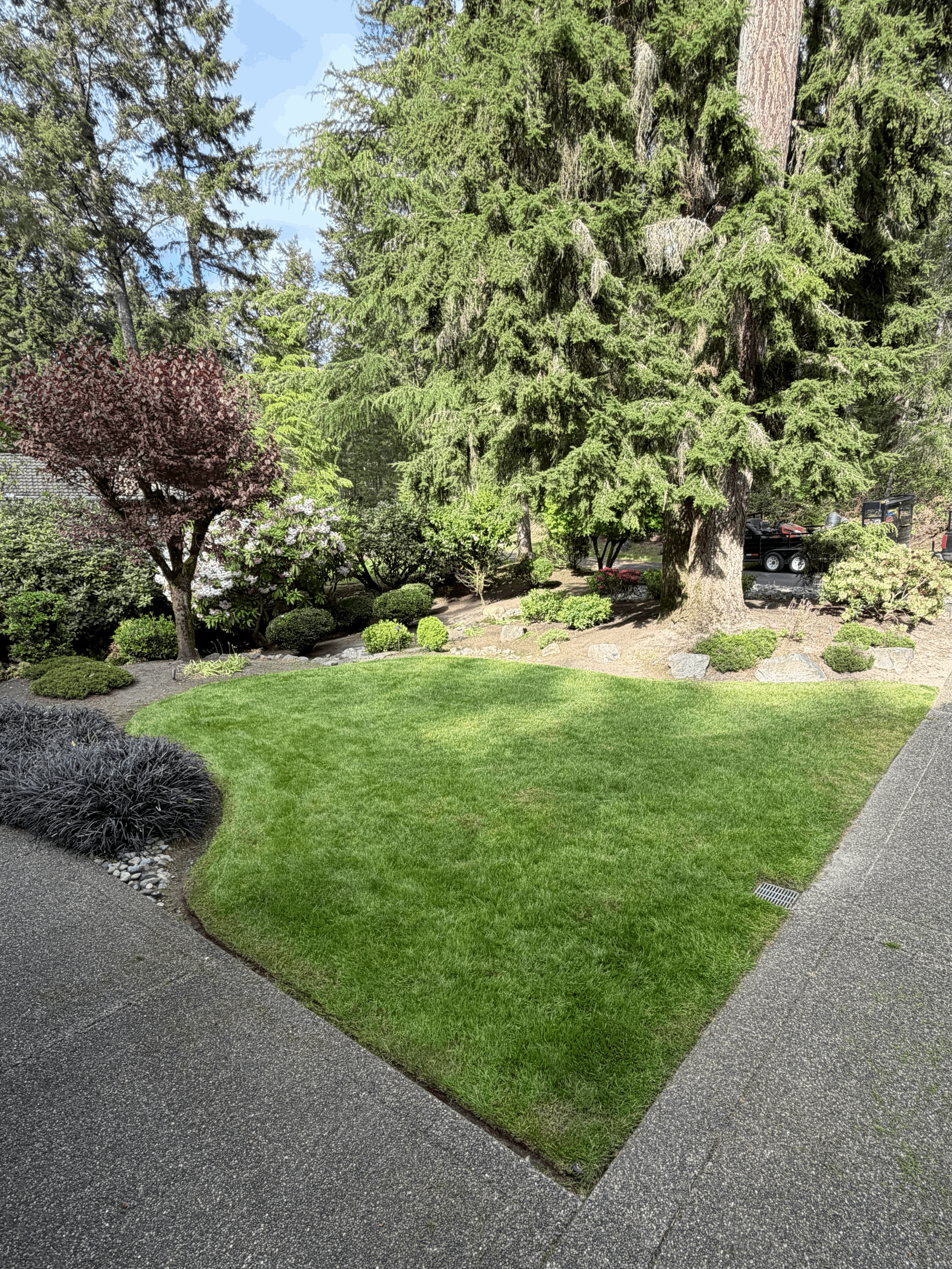 Lawn Maintenance