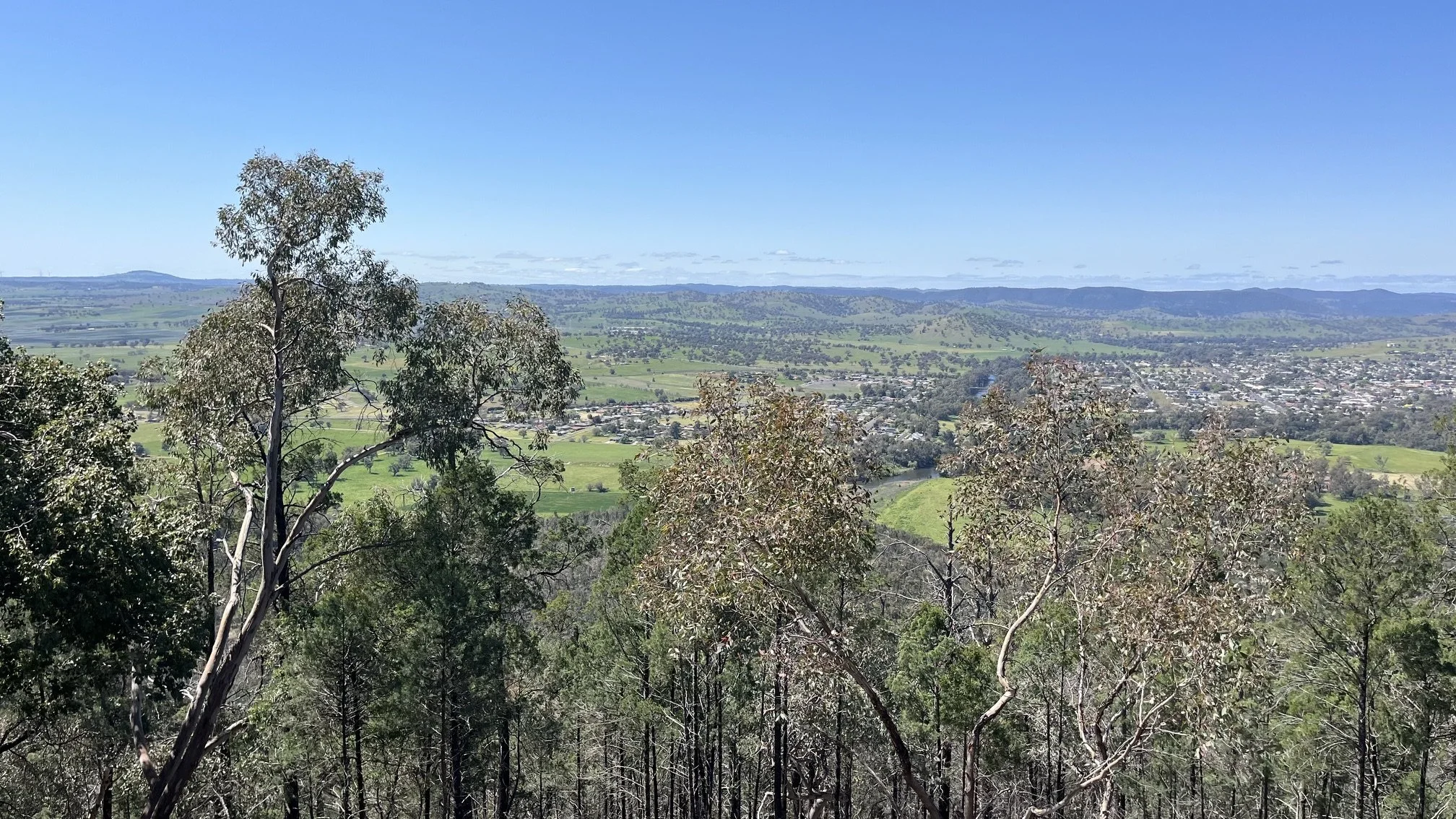 The view from Mount Arthur Reserve near Wellington