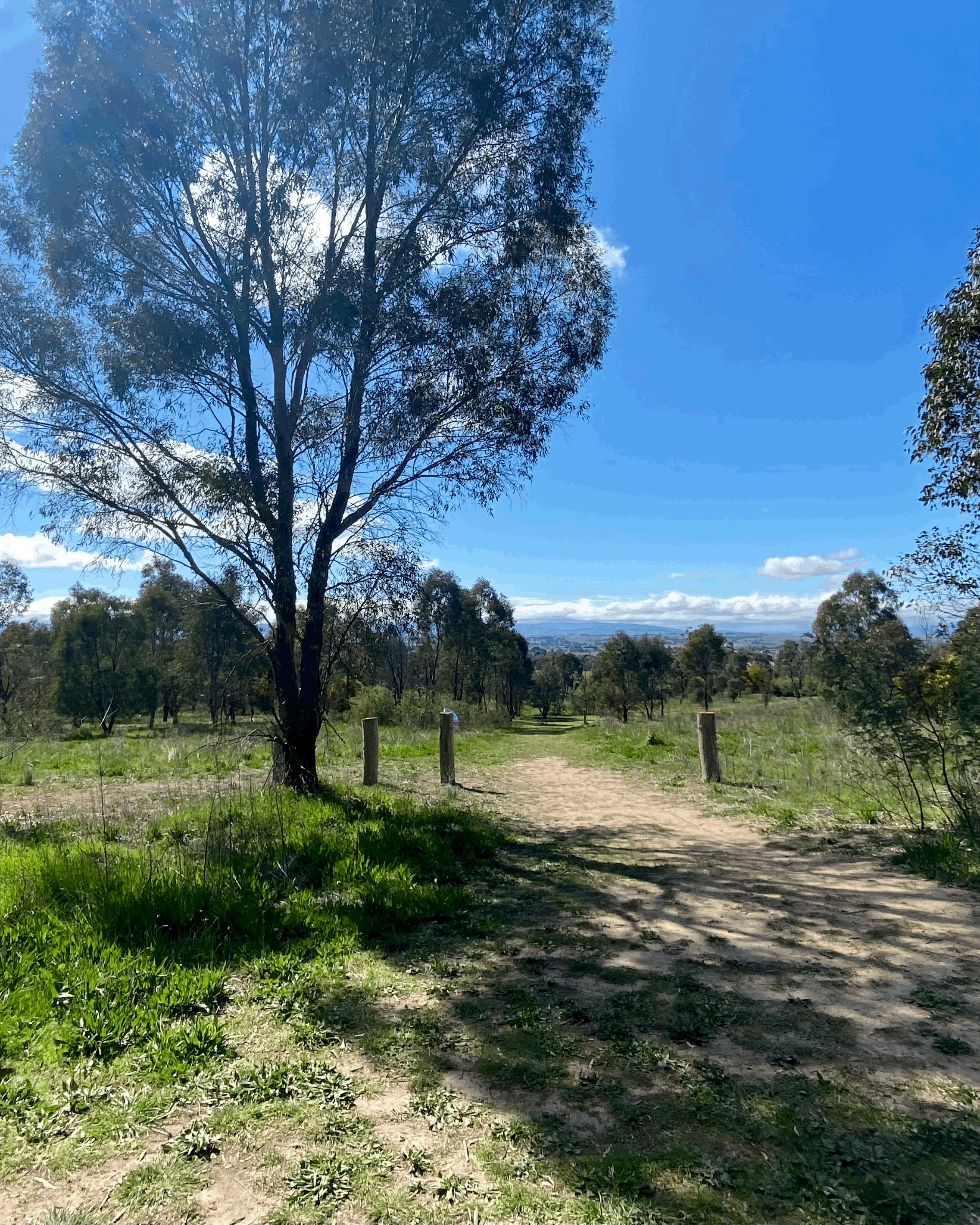 John Cousins Walking Track, Bathurst