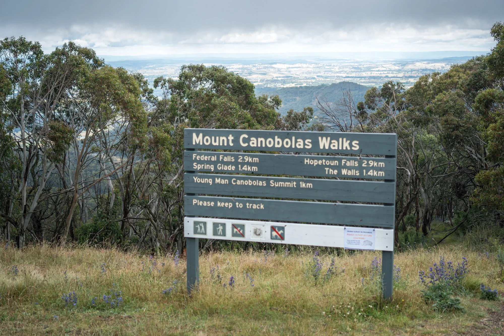 Mount Canobolas, Orange