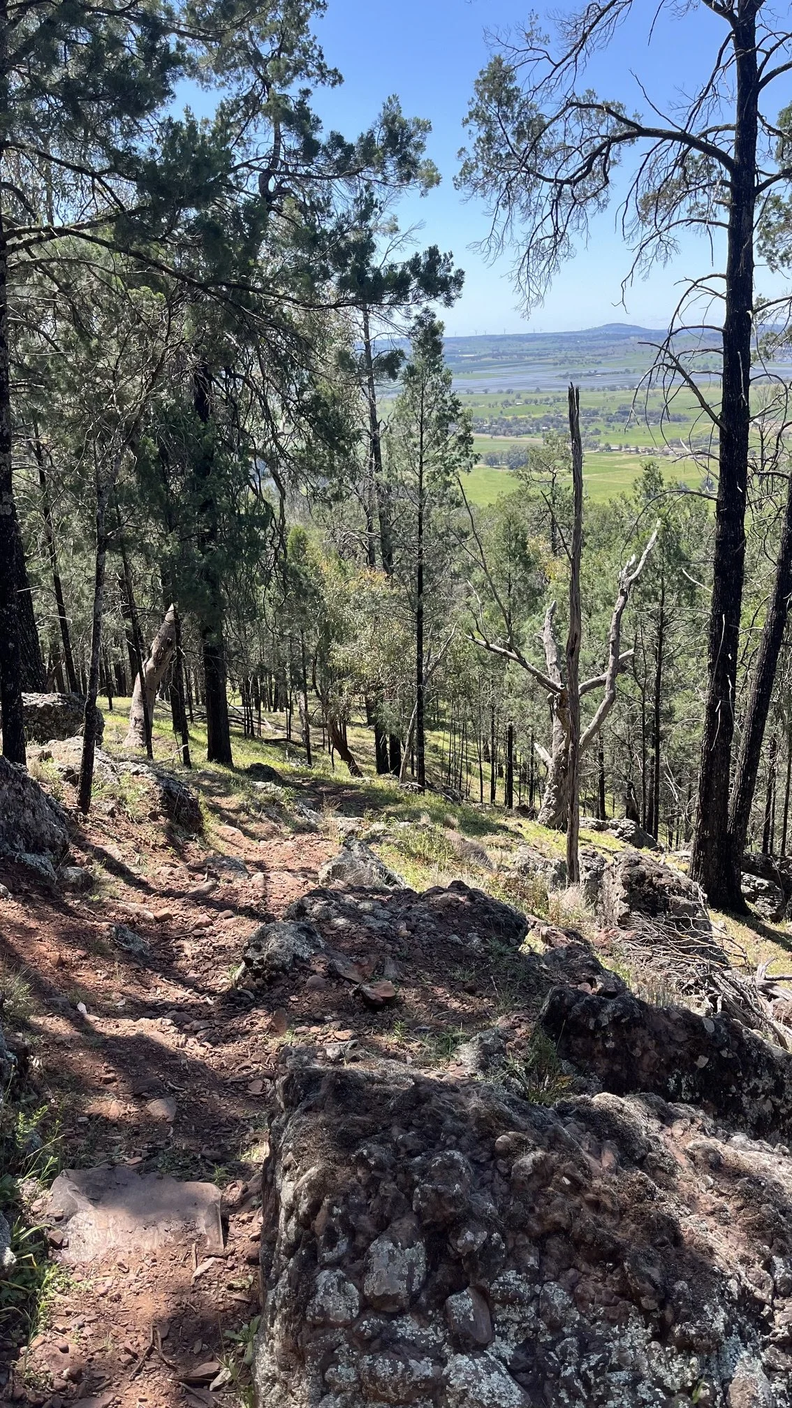 The view from Mount Arthur Reserve near Wellington