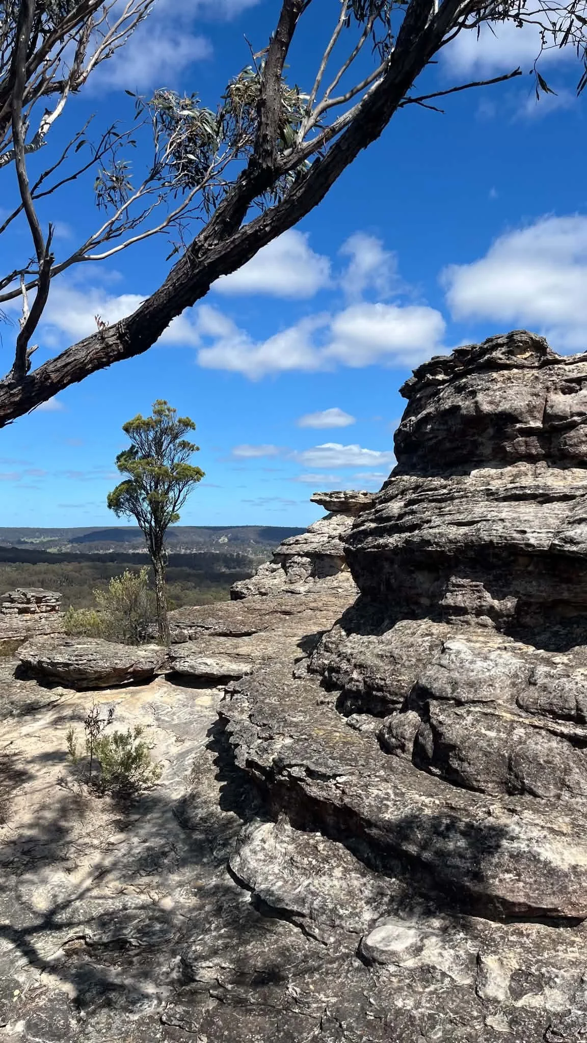 Castle Rocks Walk, Munghorn Gap Nature Reserve