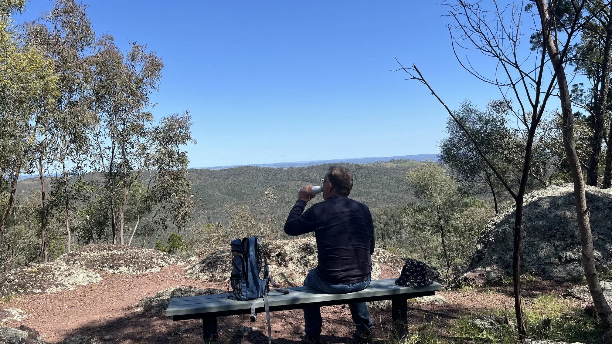 The view from Mount Arthur Reserve near Wellington