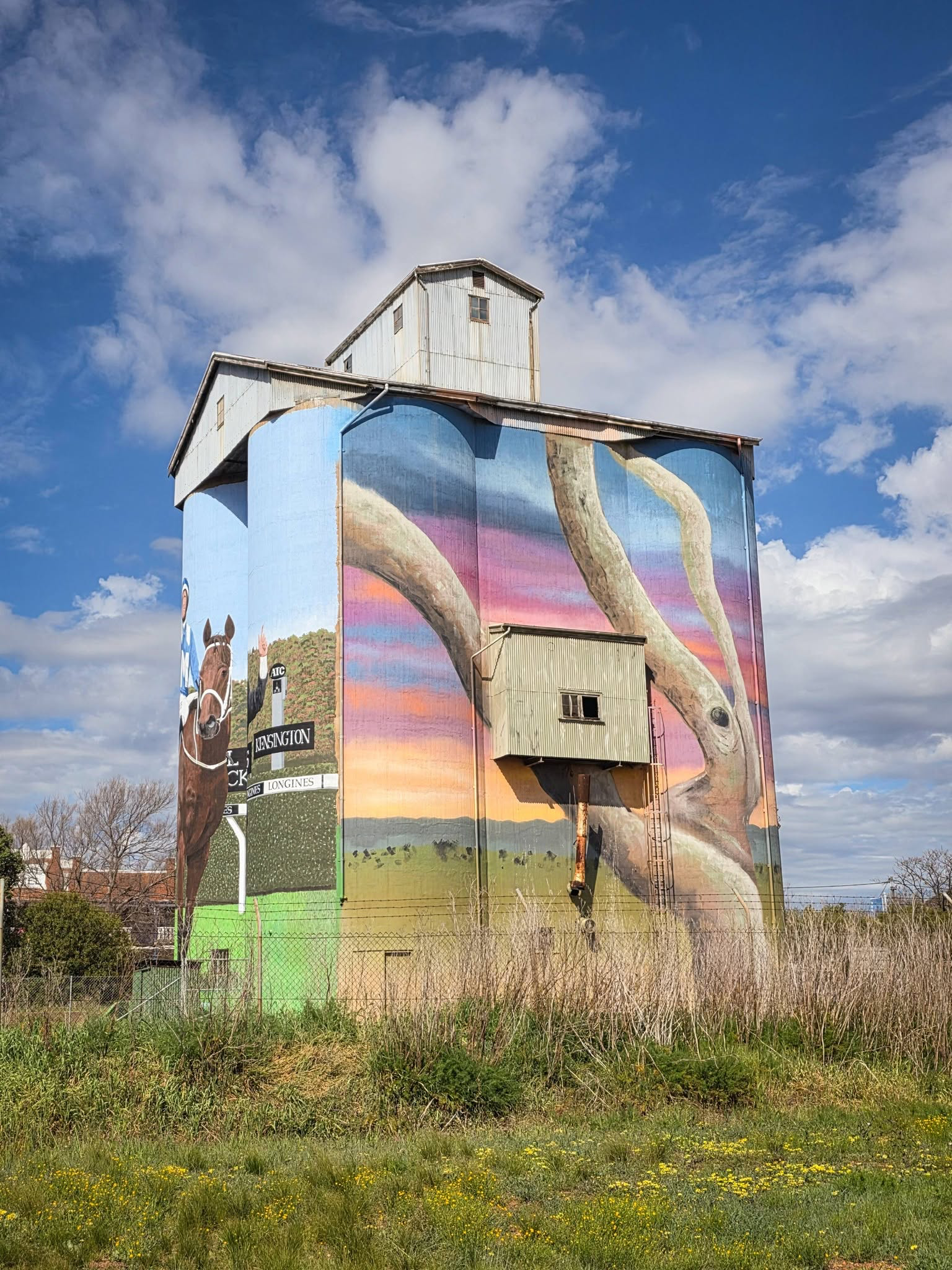 Silo Art at Dunedoo, NSW
