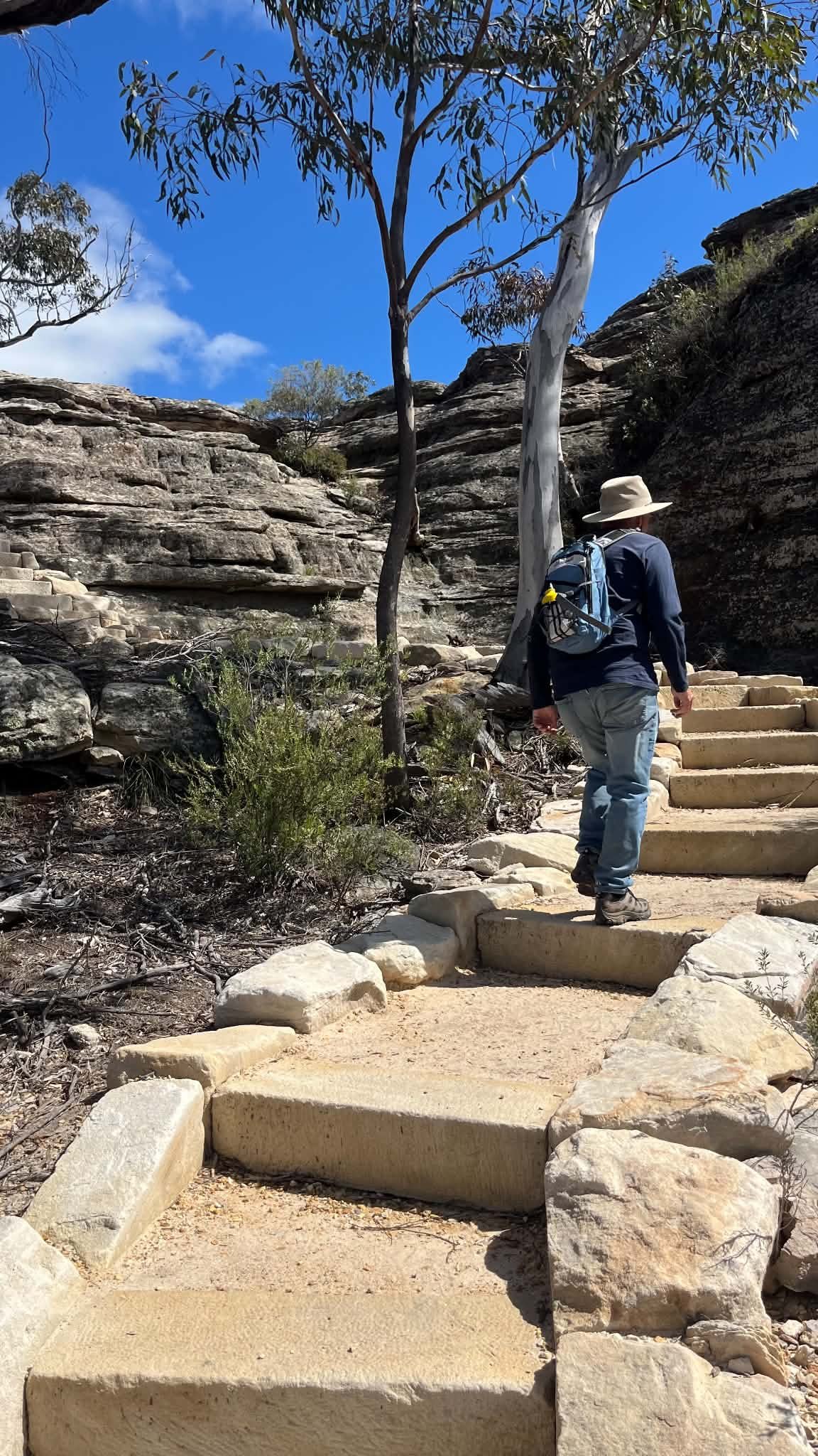 Walking the stairs at Castle Rocks Walk, Munghorn Gap Nature Reserve