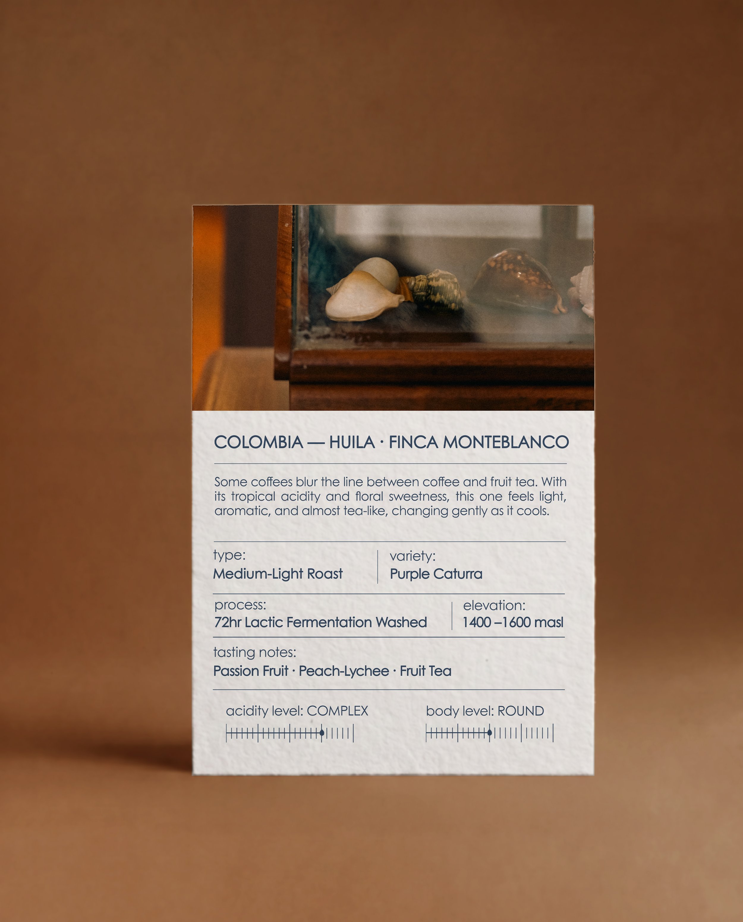 Colombia Monteblanco Purple Caturra 72hr Lactic Fermentation Washed