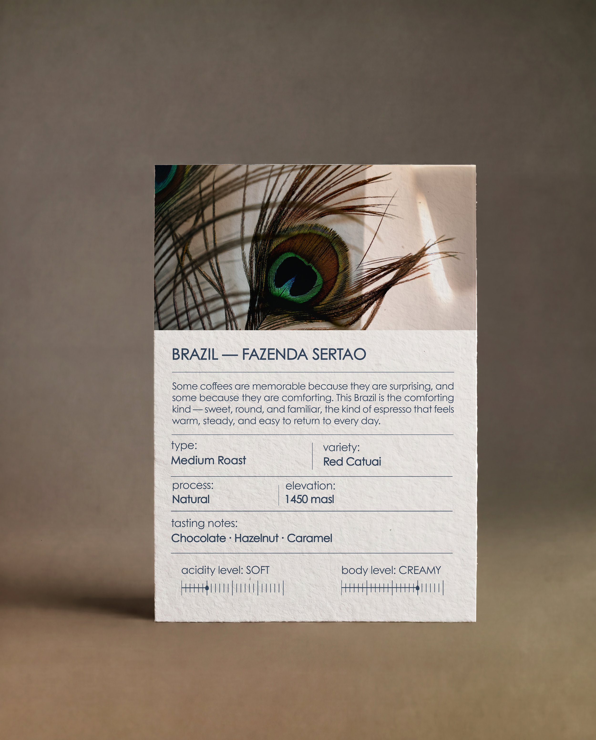 Brazil Sertao Red Catuai Natural